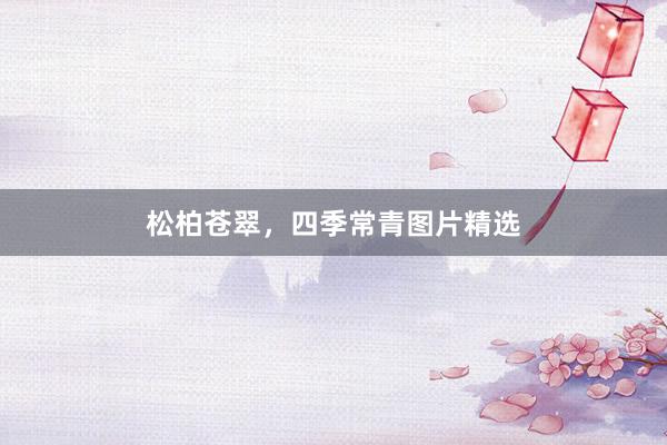 松柏苍翠,四季常青图片精选