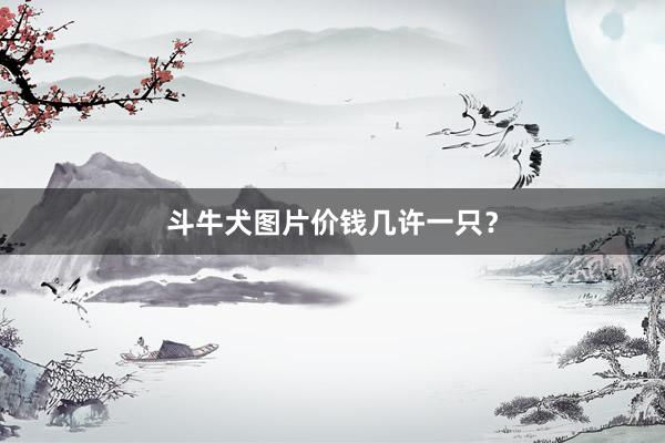 斗牛犬图片价钱几许一只？