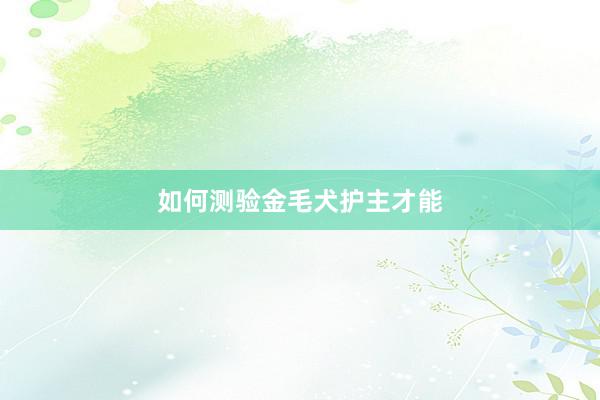 如何测验金毛犬护主才能